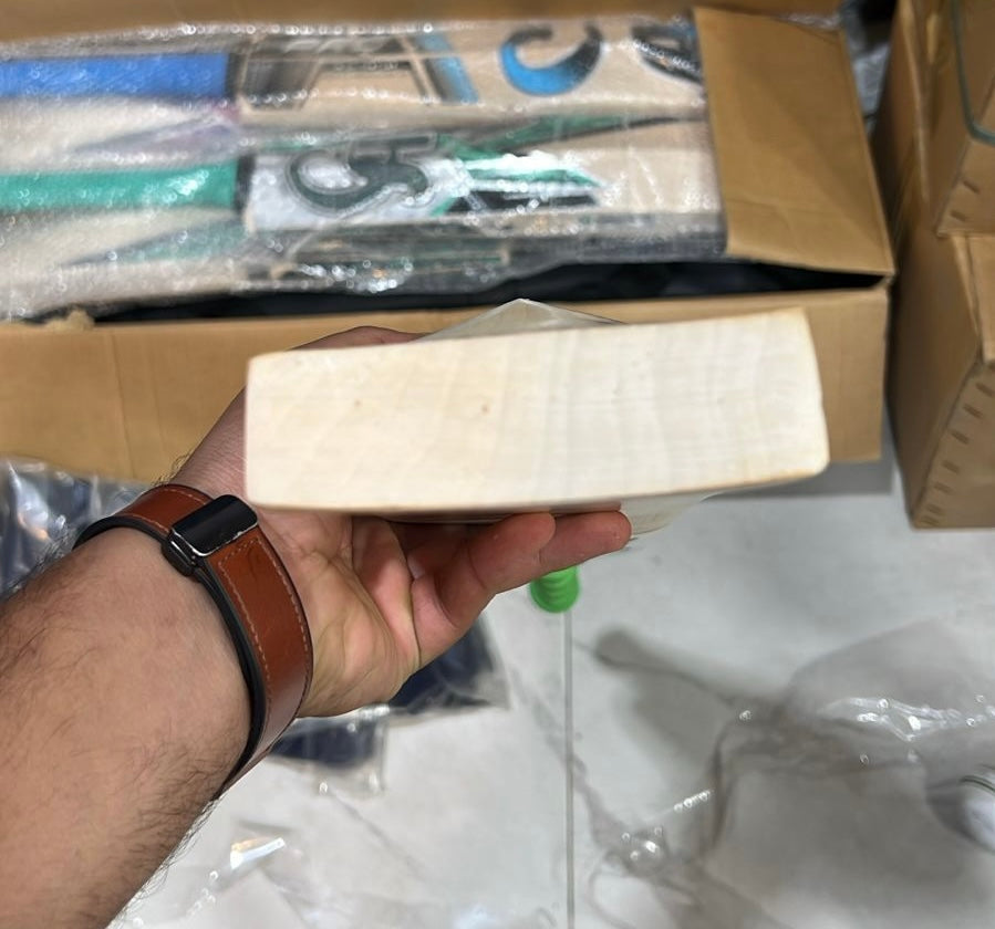 CA Pro 15000 Players Profile Cricket Bat