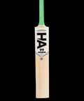 HA99 Destroyer Cricket Bat